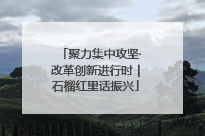 聚力集中攻坚·改革创新进行时｜石榴红里话振兴