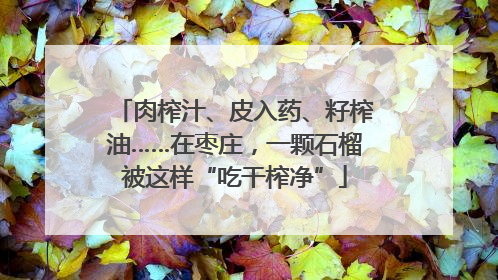 肉榨汁、皮入药、籽榨油……在枣庄，一颗石榴被这样“吃干榨净”