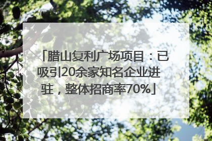 腊山复利广场项目：已吸引20余家知名企业进驻，整体招商率70%
