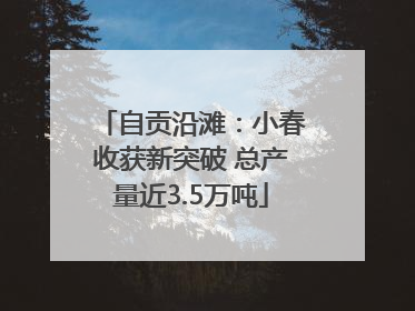 自贡沿滩：小春收获新突破 总产量近3.5万吨