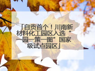 自贡首个！川南新材料化工园区入选“一园一策一图”国家级试点园区