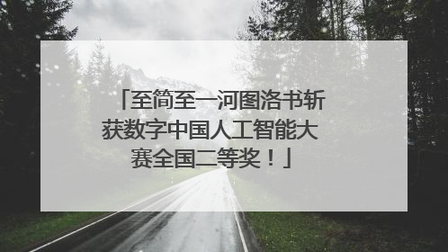 至简至一河图洛书斩获数字中国人工智能大赛全国二等奖！