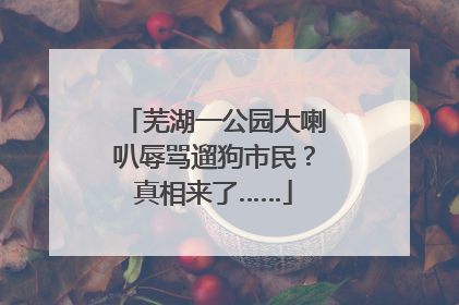 芜湖一公园大喇叭辱骂遛狗市民？真相来了……