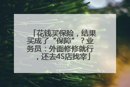 花钱买保险，结果买成了“保障”？业务员：外面修修就行，还去4S店找宰
