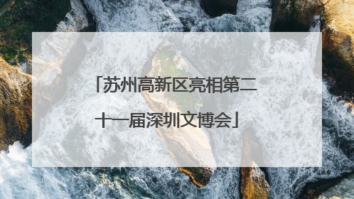 苏州高新区亮相第二十一届深圳文博会