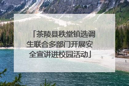 茶陵县秩堂镇选调生联合多部门开展安全宣讲进校园活动
