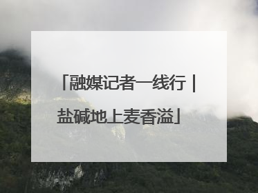 融媒记者一线行｜盐碱地上麦香溢