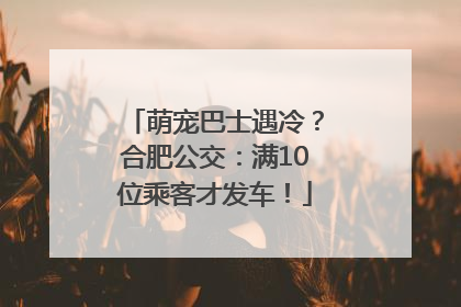萌宠巴士遇冷？合肥公交：满10位乘客才发车！