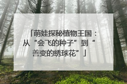 萌娃探秘植物王国：从“会飞的种子”到“善变的绣球花”