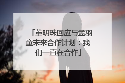 董明珠回应与孟羽童未来合作计划：我们一直在合作