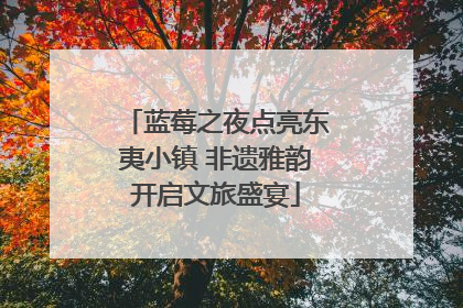 蓝莓之夜点亮东夷小镇 非遗雅韵开启文旅盛宴