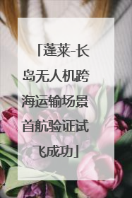 蓬莱-长岛无人机跨海运输场景首航验证试飞成功
