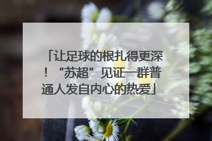 让足球的根扎得更深！“苏超”见证一群普通人发自内心的热爱
