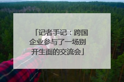 记者手记：跨国企业参与了一场别开生面的交流会