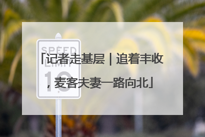记者走基层｜追着丰收，麦客夫妻一路向北