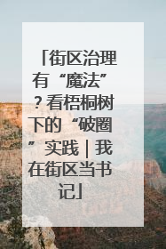街区治理有“魔法”？看梧桐树下的“破圈”实践｜我在街区当书记