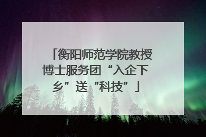衡阳师范学院教授博士服务团“入企下乡”送“科技”
