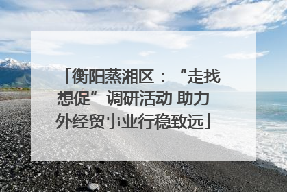 衡阳蒸湘区：“走找想促”调研活动 助力外经贸事业行稳致远