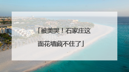 被美哭！石家庄这面花墙藏不住了
