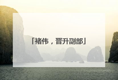 褚伟，晋升副部