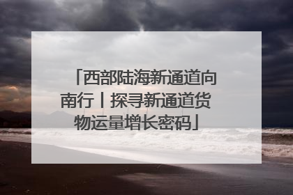 西部陆海新通道向南行丨探寻新通道货物运量增长密码