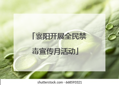 襄阳开展全民禁毒宣传月活动