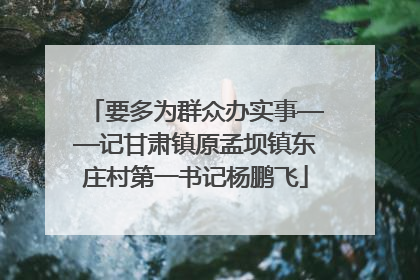 要多为群众办实事——记甘肃镇原孟坝镇东庄村第一书记杨鹏飞