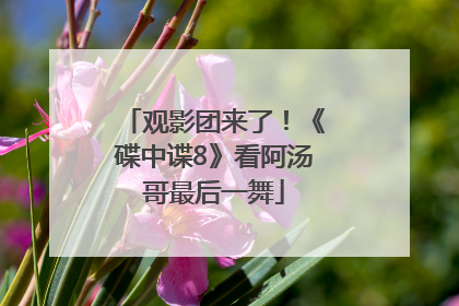 观影团来了！《碟中谍8》看阿汤哥最后一舞