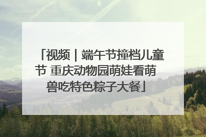 视频｜端午节撞档儿童节 重庆动物园萌娃看萌兽吃特色粽子大餐