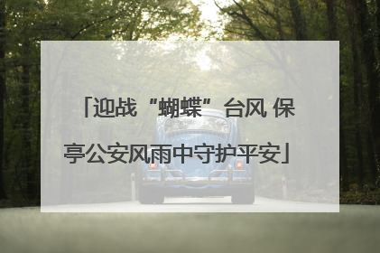 迎战“蝴蝶”台风 保亭公安风雨中守护平安