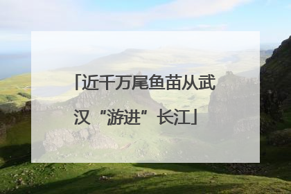 近千万尾鱼苗从武汉“游进”长江