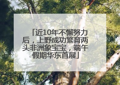 近10年不懈努力后，上野成功繁育两头非洲象宝宝，端午假期华东首展