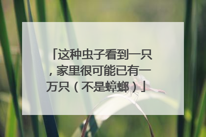 这种虫子看到一只，家里很可能已有一万只（不是蟑螂）