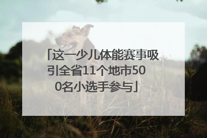 这一少儿体能赛事吸引全省11个地市500名小选手参与