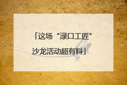 这场“渌口工匠”沙龙活动超有料