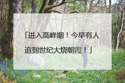 进入高峰期！今早有人追到世纪大烧朝霞！