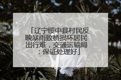 辽宁绥中县村民反映暴雨致桥损坏居民出行难，交通运输局：保证处理好