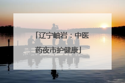 辽宁岫岩：中医药夜市护健康