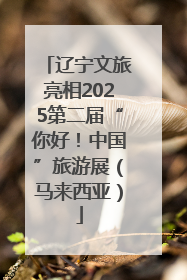 辽宁文旅亮相2025第二届“你好！中国”旅游展（马来西亚）