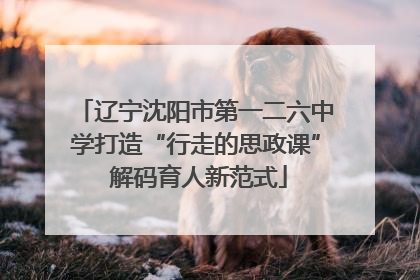 辽宁沈阳市第一二六中学打造“行走的思政课” 解码育人新范式