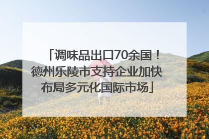 调味品出口70余国！德州乐陵市支持企业加快布局多元化国际市场