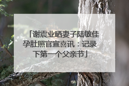 谢震业晒妻子陆敏佳孕肚照官宣喜讯：记录下第一个父亲节