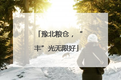 豫北粮仓，“丰”光无限好