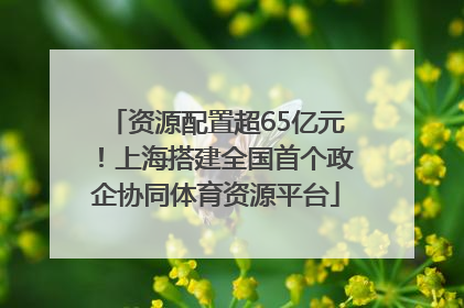 资源配置超65亿元！上海搭建全国首个政企协同体育资源平台