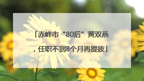 赤峰市“80后”黄双燕，任职不到8个月再提拔