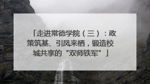 走进常德学院（三）：政策筑基、引凤来栖，锻造校城共享的“双师铁军”