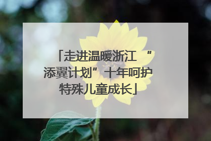走进温暖浙江 “添翼计划”十年呵护特殊儿童成长