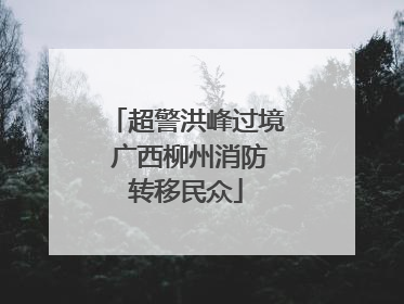 超警洪峰过境 广西柳州消防转移民众