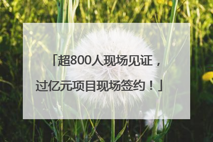 超800人现场见证，过亿元项目现场签约！
