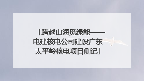 跨越山海觅绿能——电建核电公司建设广东太平岭核电项目侧记